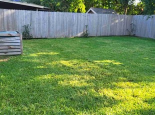 Leeann W.'s Cleanups service result