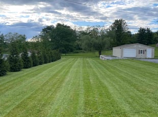 Chanel H.'s lawn maintenance service result