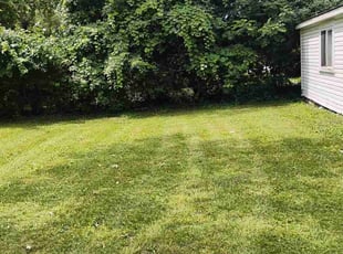 Patricia C.'s grass cutting service result