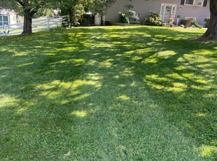 Ronald S.'s lawn care service result