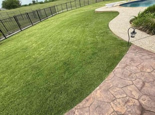 Latashia W.'s grass cutting service result