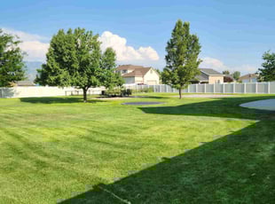 Boris F.'s lawn care service result