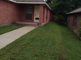 Xavier/Donica B.'s turf care service result