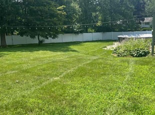 Louise B.'s grass maintenance service result
