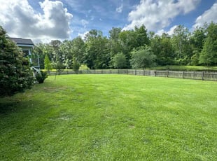 Susann W.'s lawn maintenance service result