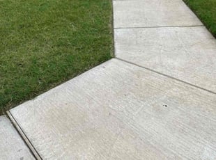 Stella I.'s landscape maintenance service result