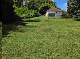 Dale S.'s turf care service result