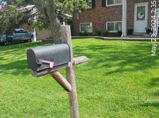 Jean B.'s lawn care services service result