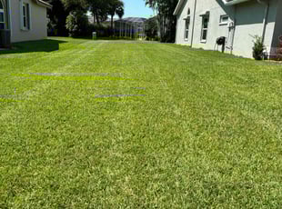 Cindy B.'s grass cutting service result