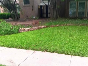 Diane E.'s lawn care service result