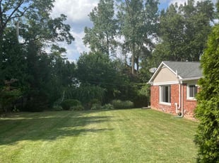 Tim D.'s lawn care service result