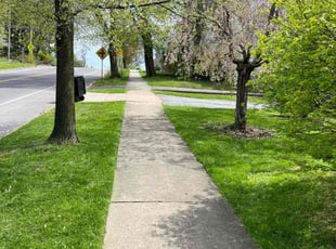 Tim V.'s turf care service result