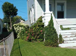 Sala L.'s lawn care services service result