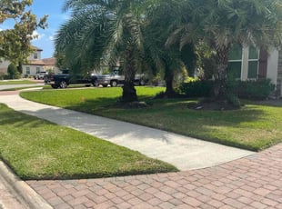 Tanyka B.'s grass cutting service result