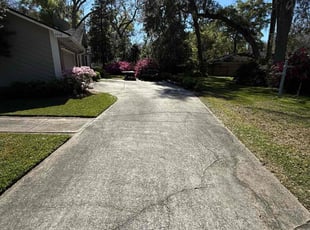 Autumn S.'s turf care service result