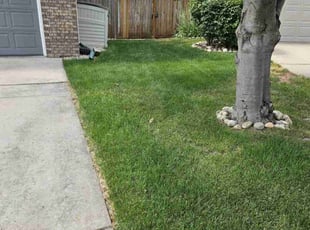 Richard B.'s grass cutting service result