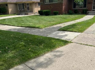 Patricia M.'s lawn maintenance service result