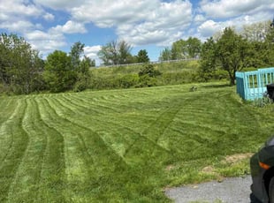 Barbara B.'s turf care service result