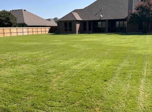 Steve W.'s lawn service service result