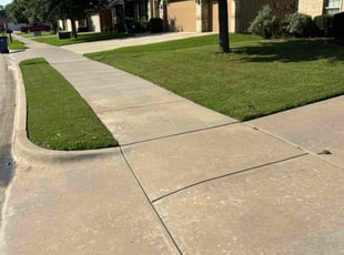 Jan G.'s lawn service service result