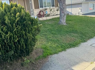 Dean L.'s lawn maintenance service result