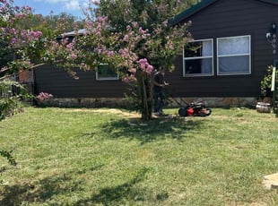 Jose C.'s lawn care services service result