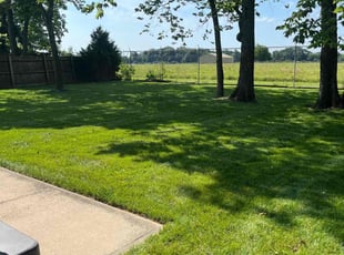 Marilyn P.'s grass maintenance service result