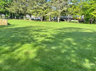 Brian O.'s lawn service service result