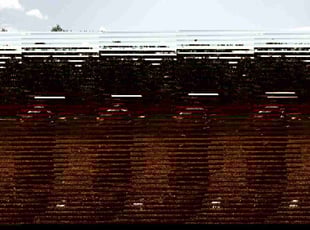 John A.'s grass maintenance service result