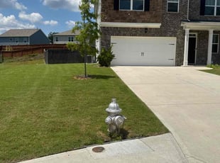 Mike R.'s lawn maintenance service result