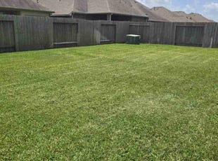 Caroline P.'s lawn care services service result