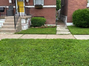Pamela C.'s lawn care service result