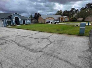 Jaime C.'s turf care service result