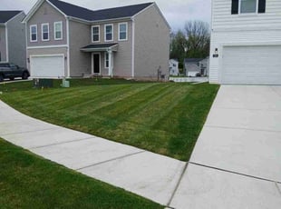 Carole E.'s grass maintenance service result
