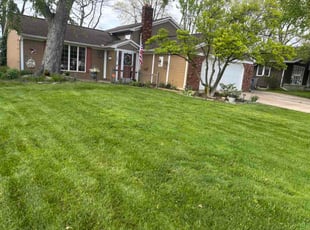 Frank S.'s lawn care service result
