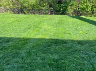 Vincent C.'s yard work service result