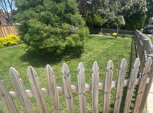 Vivian R.'s lawn care service result