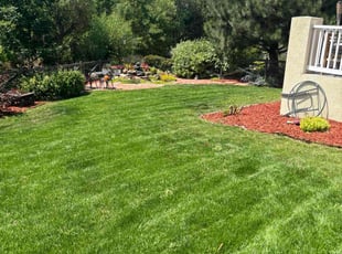 Rhonda S.'s turf maintenance service result