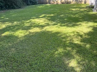 Michael H.'s lawn service service result