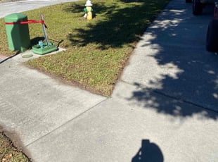 Shannon N.'s turf care service result