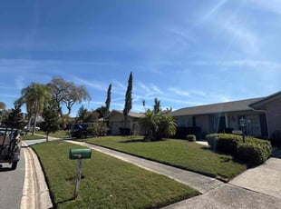 Leslie S.'s lawn care service result