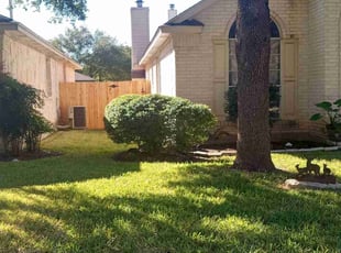 Debby J.'s Bush Trimming service result