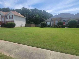 Laura C.'s turf maintenance service result