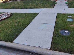 Bruce L.'s turf care service result