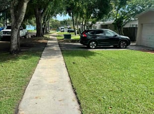 Thomas A.'s lawn care services service result