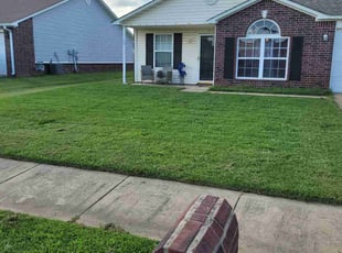 Ken C.'s lawn care service result