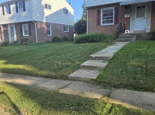 Allen N.'s lawn care services service result
