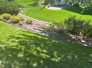 Irfan Q.'s lawn maintenance service result