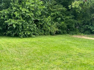 Jazz S.'s lawn care service result
