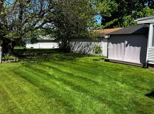 Jacob N.'s turf care service result